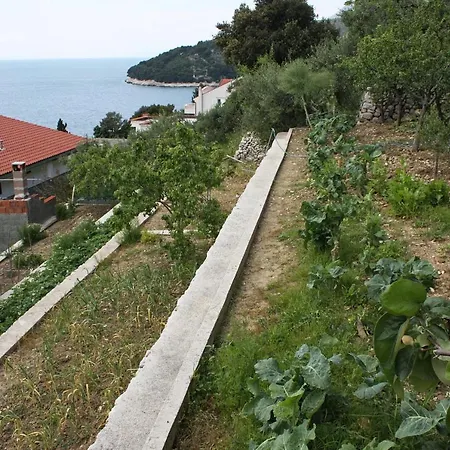 Studio Drvenik Gornja Vala 4890d Apartamento Drvenik (Split-Dalmatia)